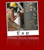 Exp Link